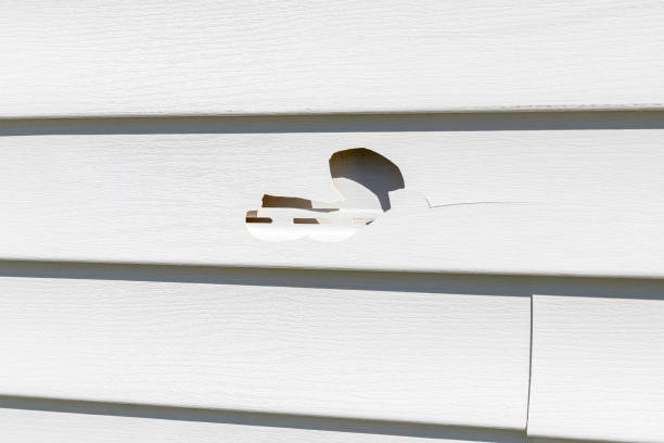 Affordable Siding Repair and Maintenance Services in Roeland Park, KS